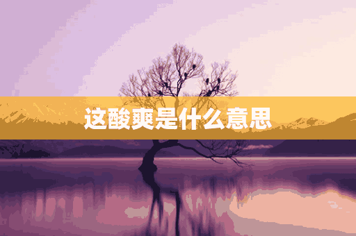 这酸爽是什么意思